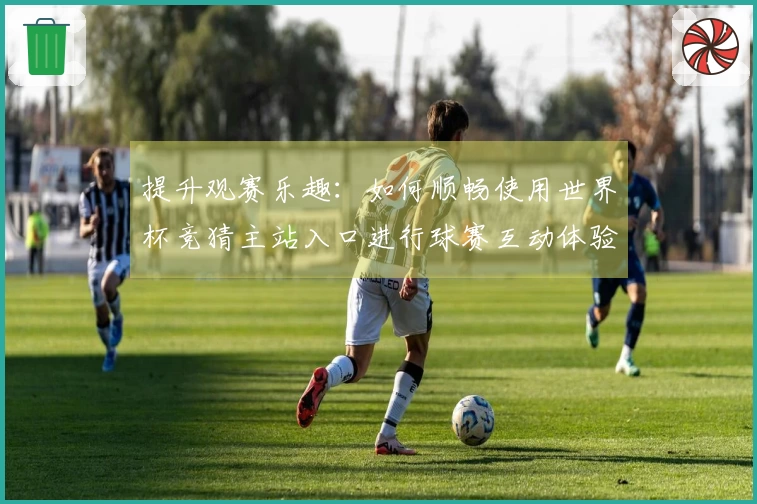 提升观赛乐趣：如何顺畅使用世界杯竞猜主站入口进行球赛互动体验