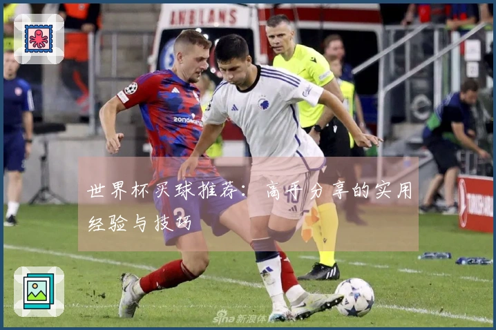 世界杯买球推荐：高手分享的实用经验与技巧