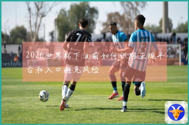 2026世界杯下注前如何识别正规平台和入口避免风险