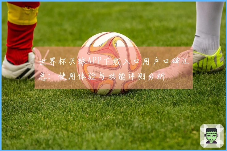 世界杯买球APP下载入口用户口碑汇总：使用体验与功能评测分析