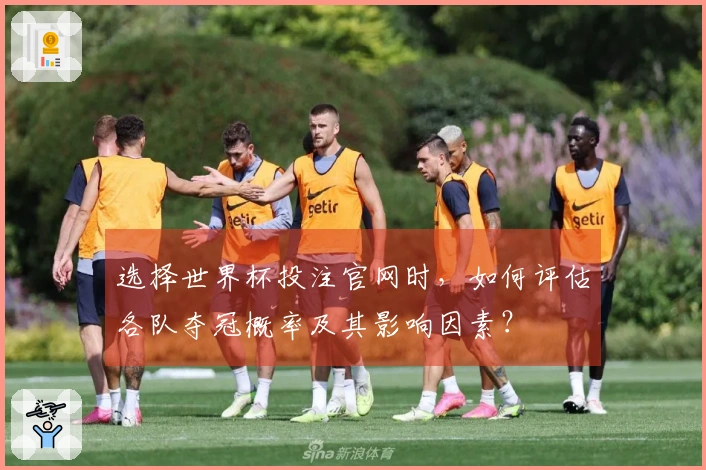 选择世界杯投注官网时，如何评估各队夺冠概率及其影响因素？