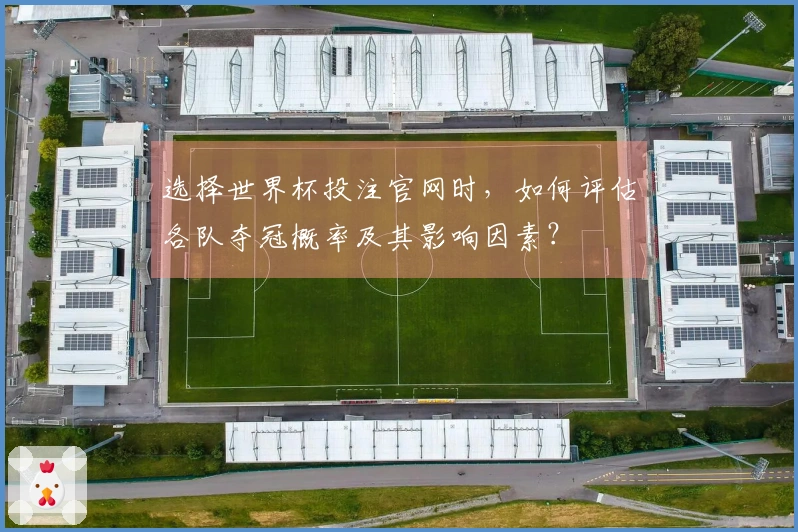 选择世界杯投注官网时，如何评估各队夺冠概率及其影响因素？