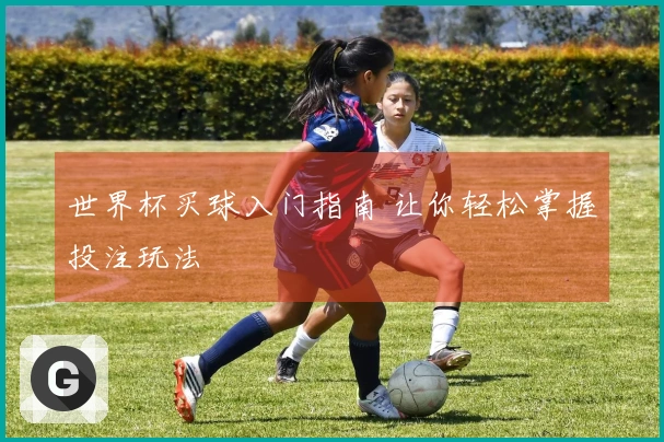世界杯买球入门指南 让你轻松掌握投注玩法