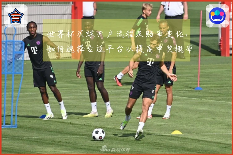 世界杯买球开户流程及赔率变化，如何选择合适平台以提高中奖概率