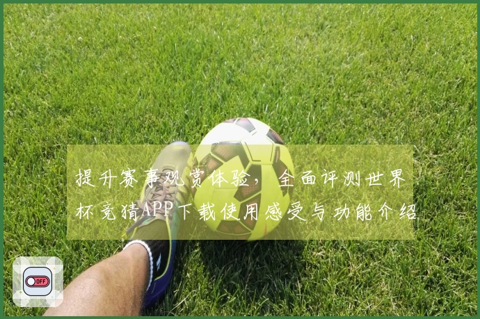 提升赛事观赏体验，全面评测世界杯竞猜APP下载使用感受与功能介绍