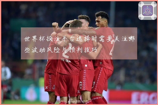 世界杯投注平台选择时需要关注哪些波动风险与预判技巧