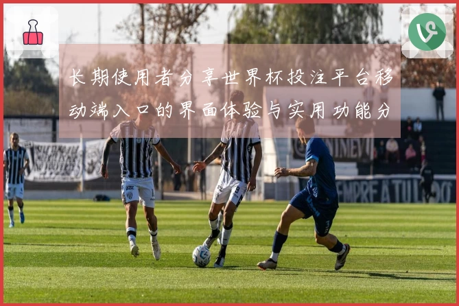 长期使用者分享世界杯投注平台移动端入口的界面体验与实用功能分析