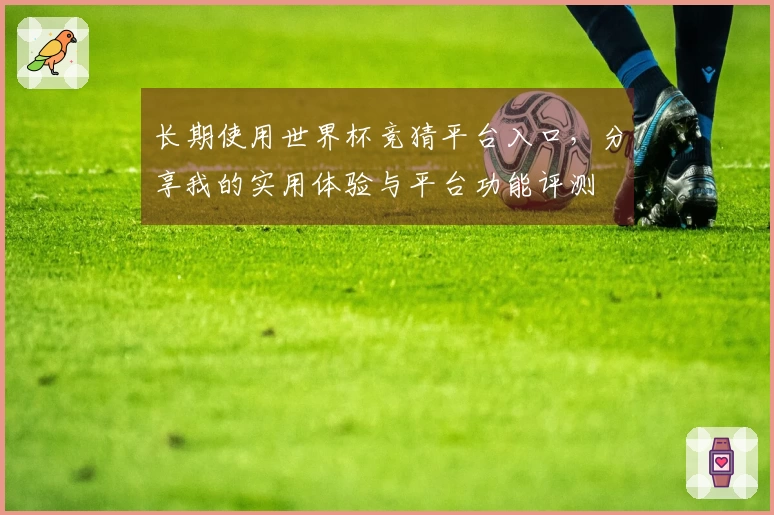长期使用世界杯竞猜平台入口，分享我的实用体验与平台功能评测