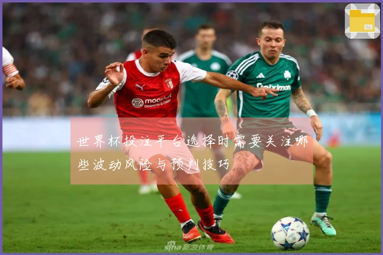 世界杯投注平台选择时需要关注哪些波动风险与预判技巧