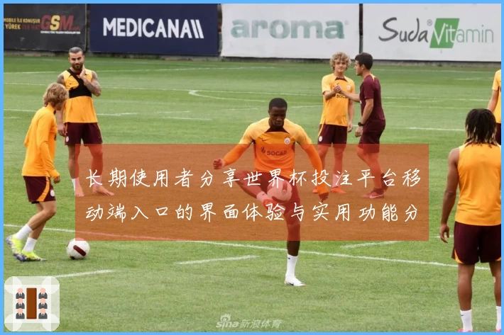 长期使用者分享世界杯投注平台移动端入口的界面体验与实用功能分析