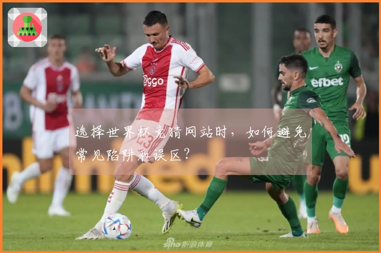 选择世界杯竞猜网站时，如何避免常见陷阱和误区？