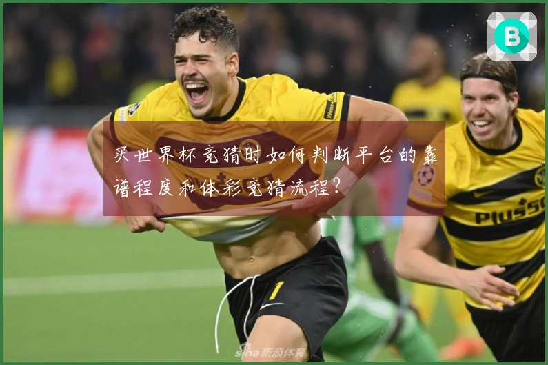 买世界杯竞猜时如何判断平台的靠谱程度和体彩竞猜流程？