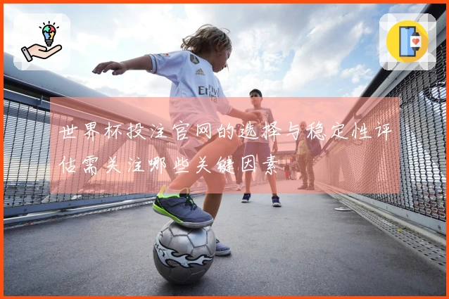 世界杯投注官网的选择与稳定性评估需关注哪些关键因素