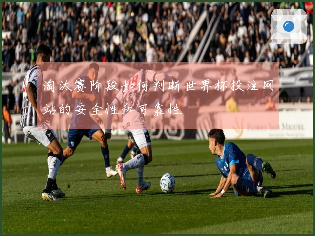 淘汰赛阶段如何判断世界杯投注网站的安全性和可靠性