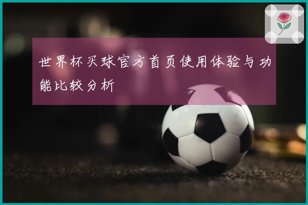 世界杯买球官方首页使用体验与功能比较分析