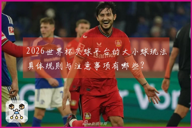 2026世界杯买球平台的大小球玩法具体规则与注意事项有哪些？